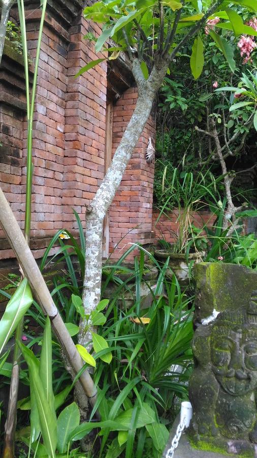 Arjana Bungalows 2 Ubud Exterior foto
